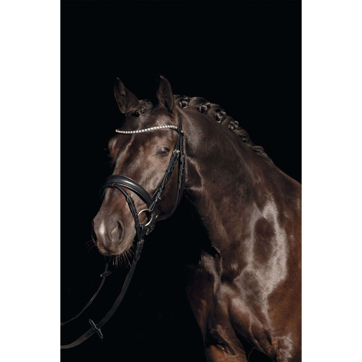 HKM Snaffle Bridle Bella Black