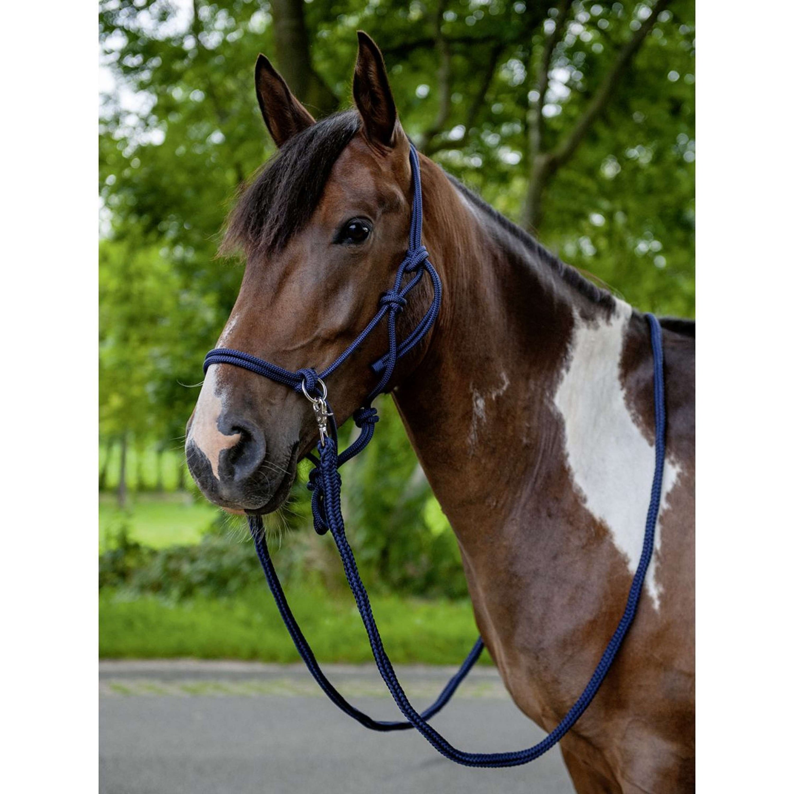 HKM Rope Halter with Rein Pink