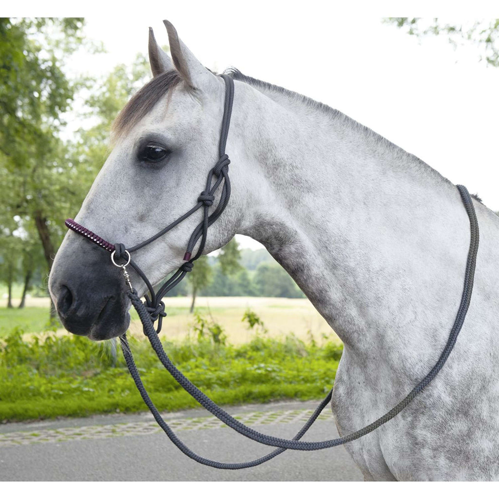 HKM Rope Halter Deko with Rein Dark Grey/Grapevine