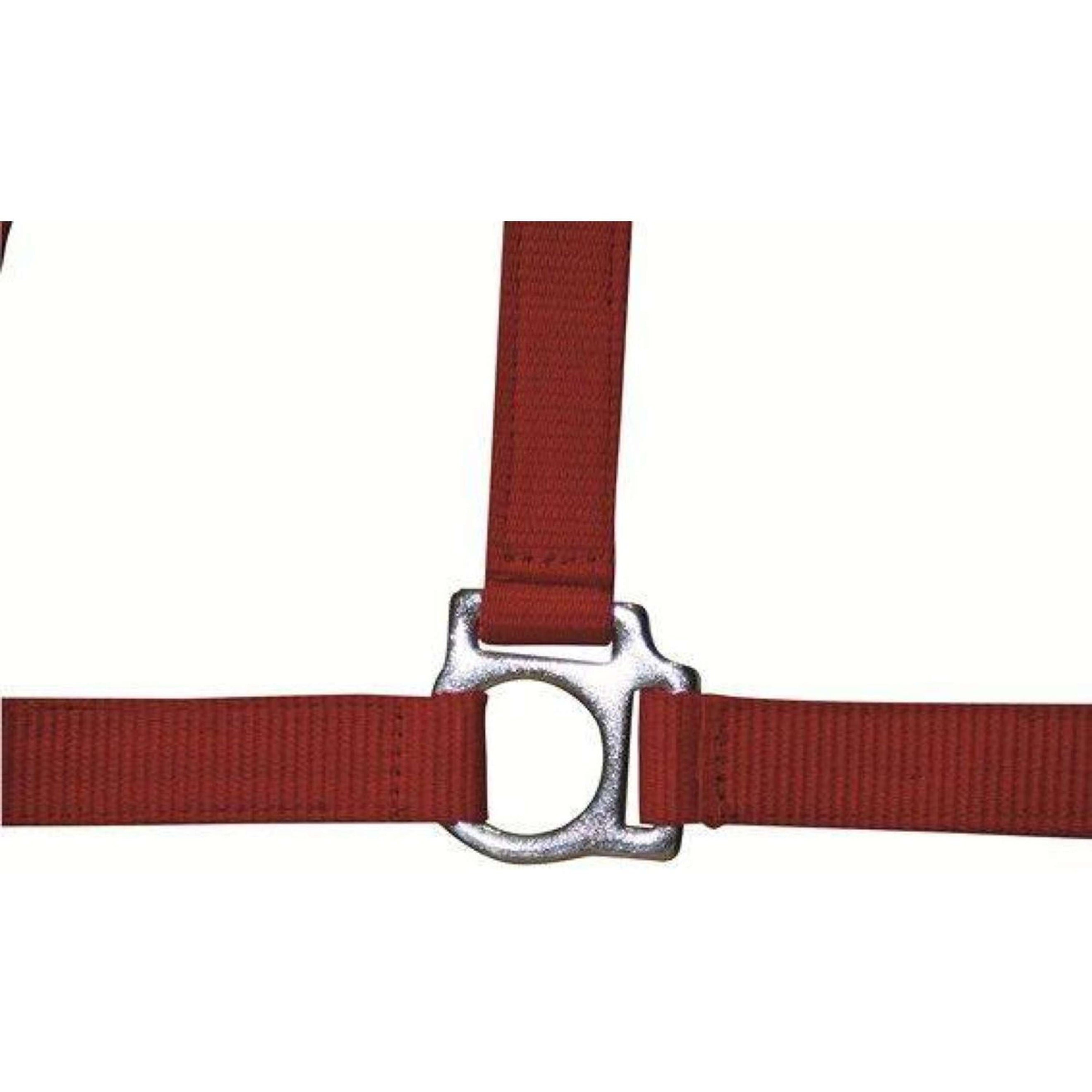 HKM Headcollar Stars Economy Red