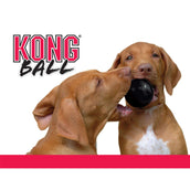 KONG Ball Extreme Black