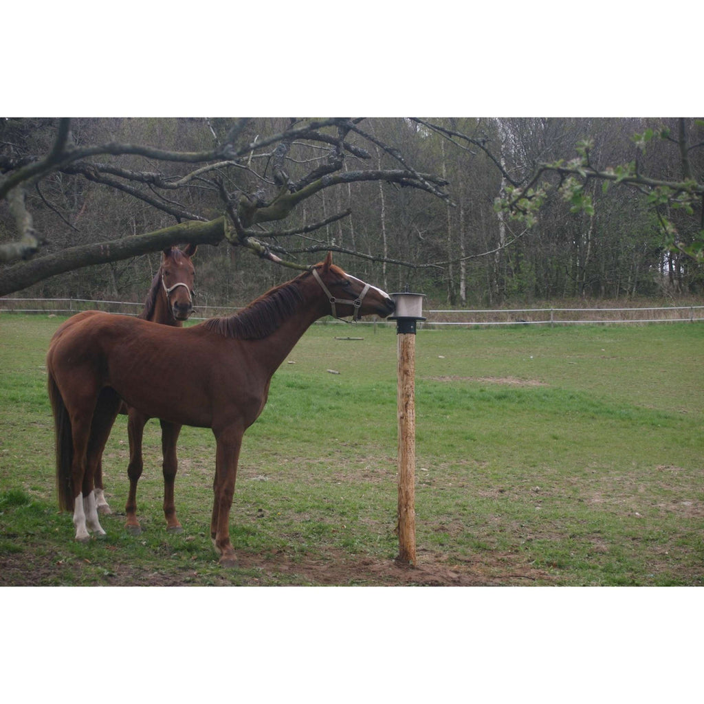 Agradi Lickblock holder for on Post Plastic for 10kg