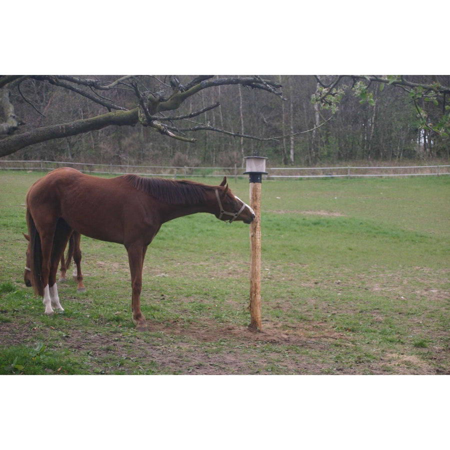 Agradi Lickblock holder for on Post Plastic for 10kg
