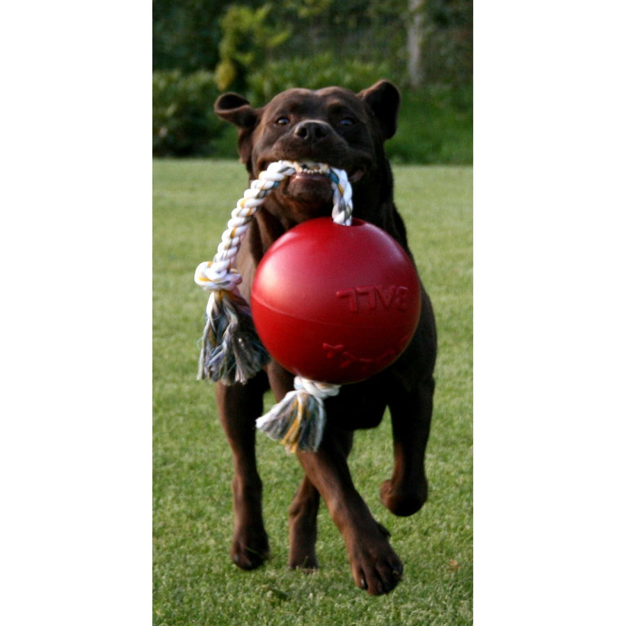 Jolly Ball Romp-n-Roll Baby Blue