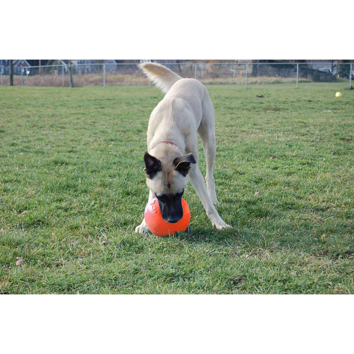 Jolly Ball Bounce-n Play Blueberry