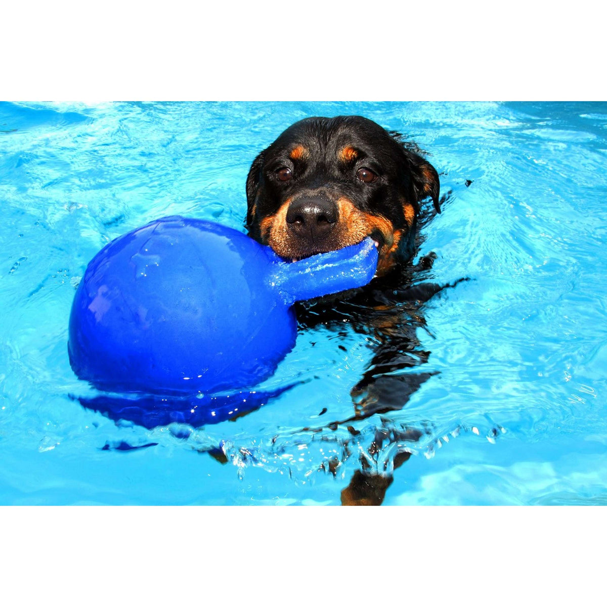 Jolly Ball Tug-n-Toss Blue