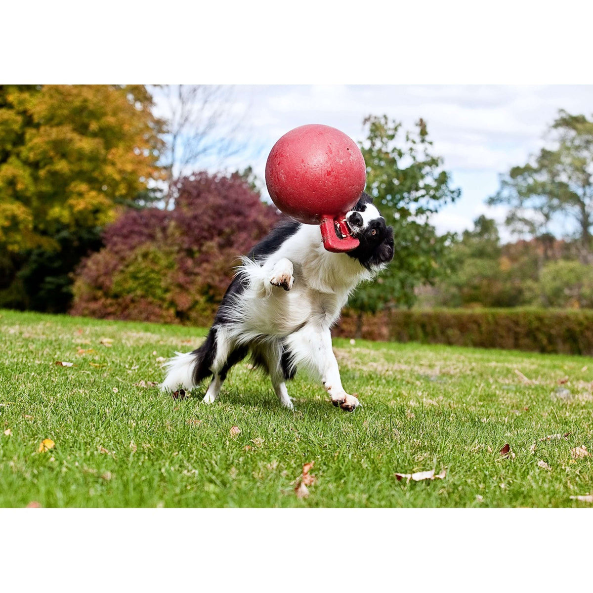 Jolly Ball Tug-n-Toss Blue