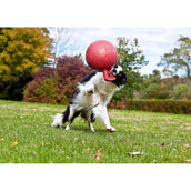 Jolly Ball Tug-n-Toss Blue