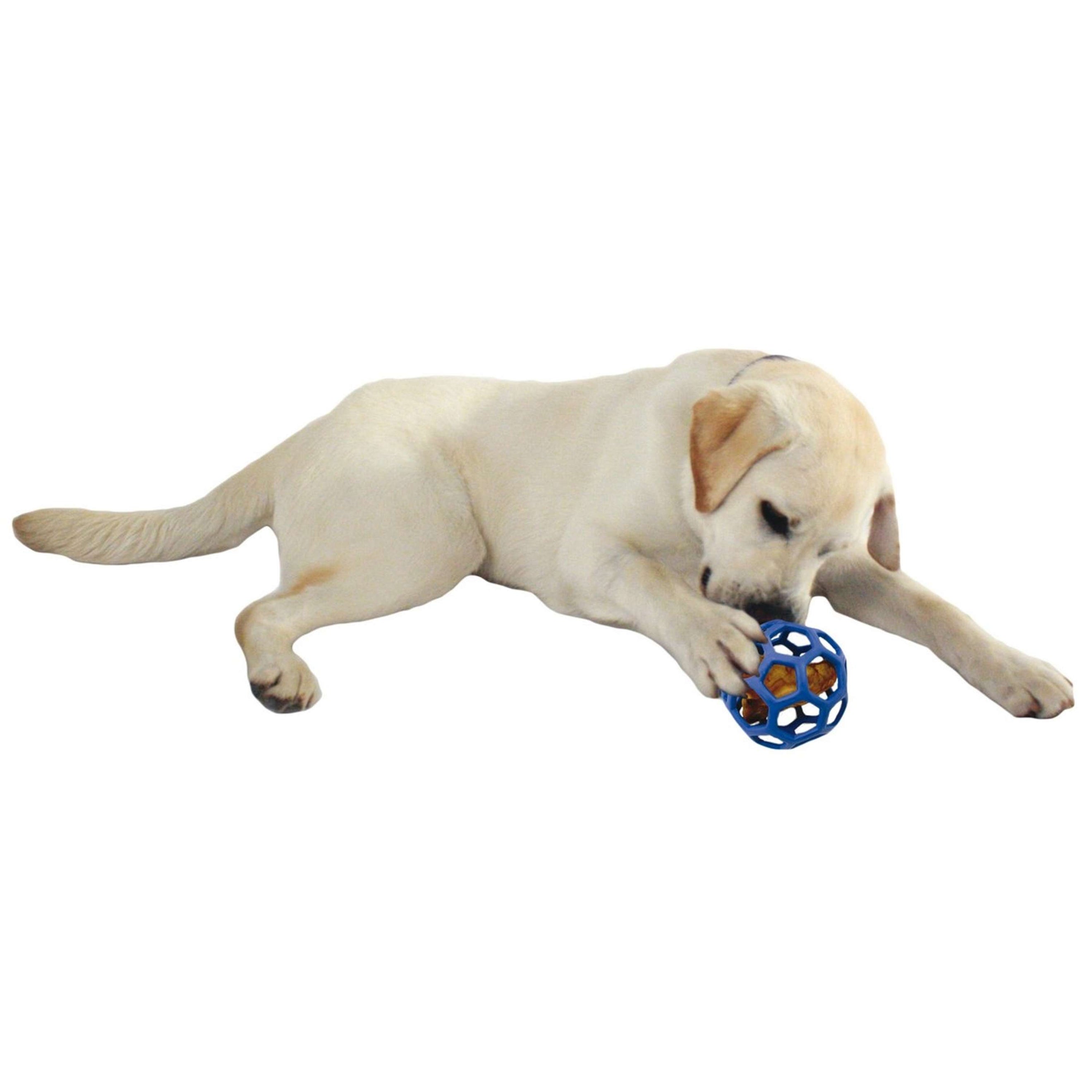 JW playball HOL-EE Roller Jumbo Assorti JW playball HOL-EE Roller Jumbo Assorti