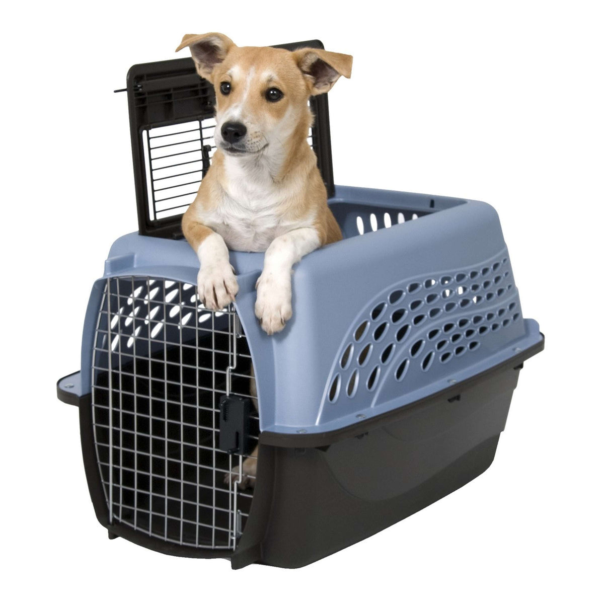 Petmate 4 Door Top Load kennel Blue