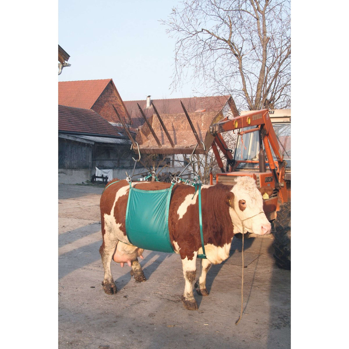 Agradi Cow lifting device