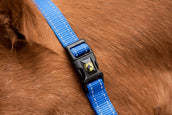 Excellent Halter Superior Blue