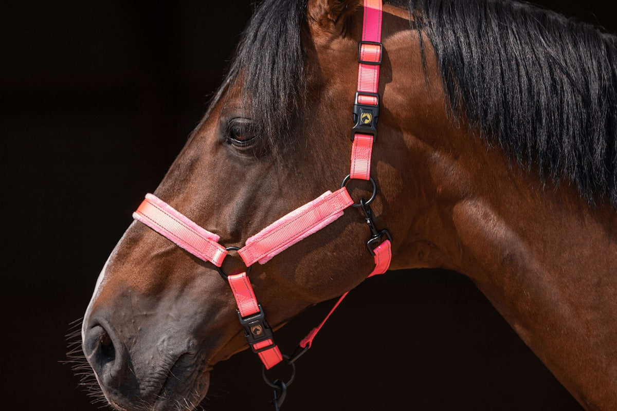 Excellent Halter Superior Pink