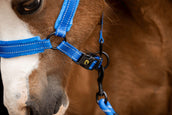 Excellent Halter Superior Blue