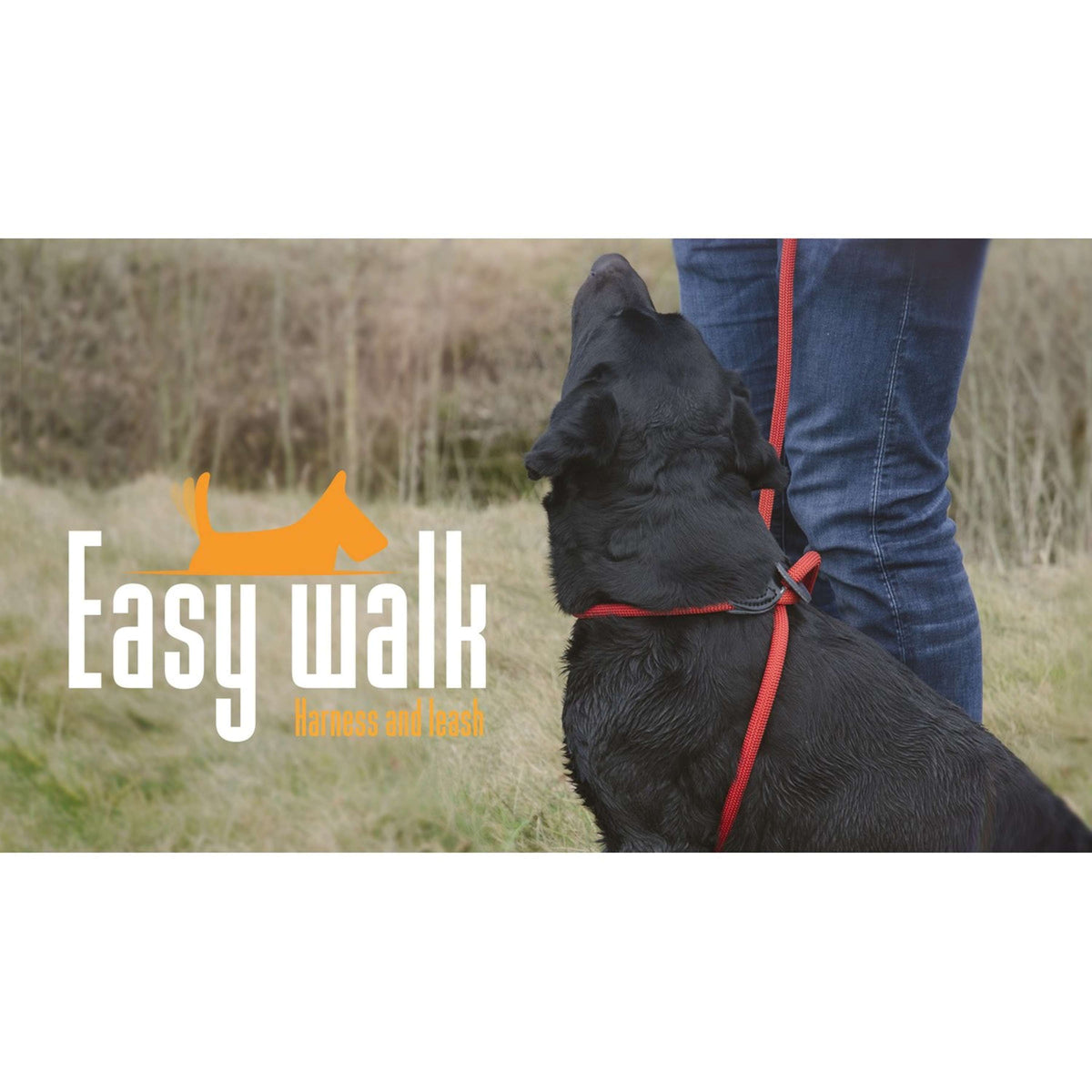 Agradi Easy Walk Shoulder Model Easy Walk Red 1st Red