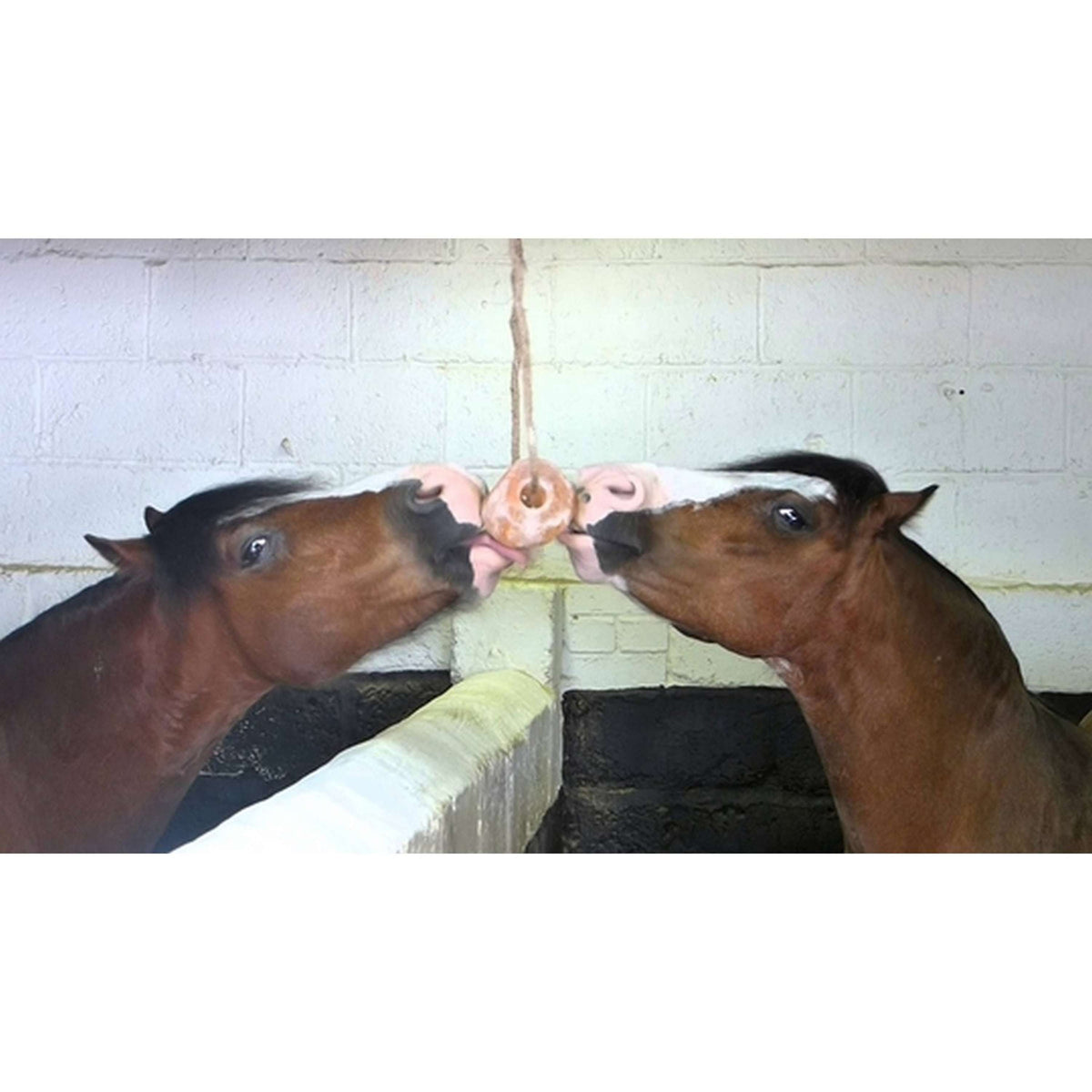 Agradi Health Himalaya Horse Lick