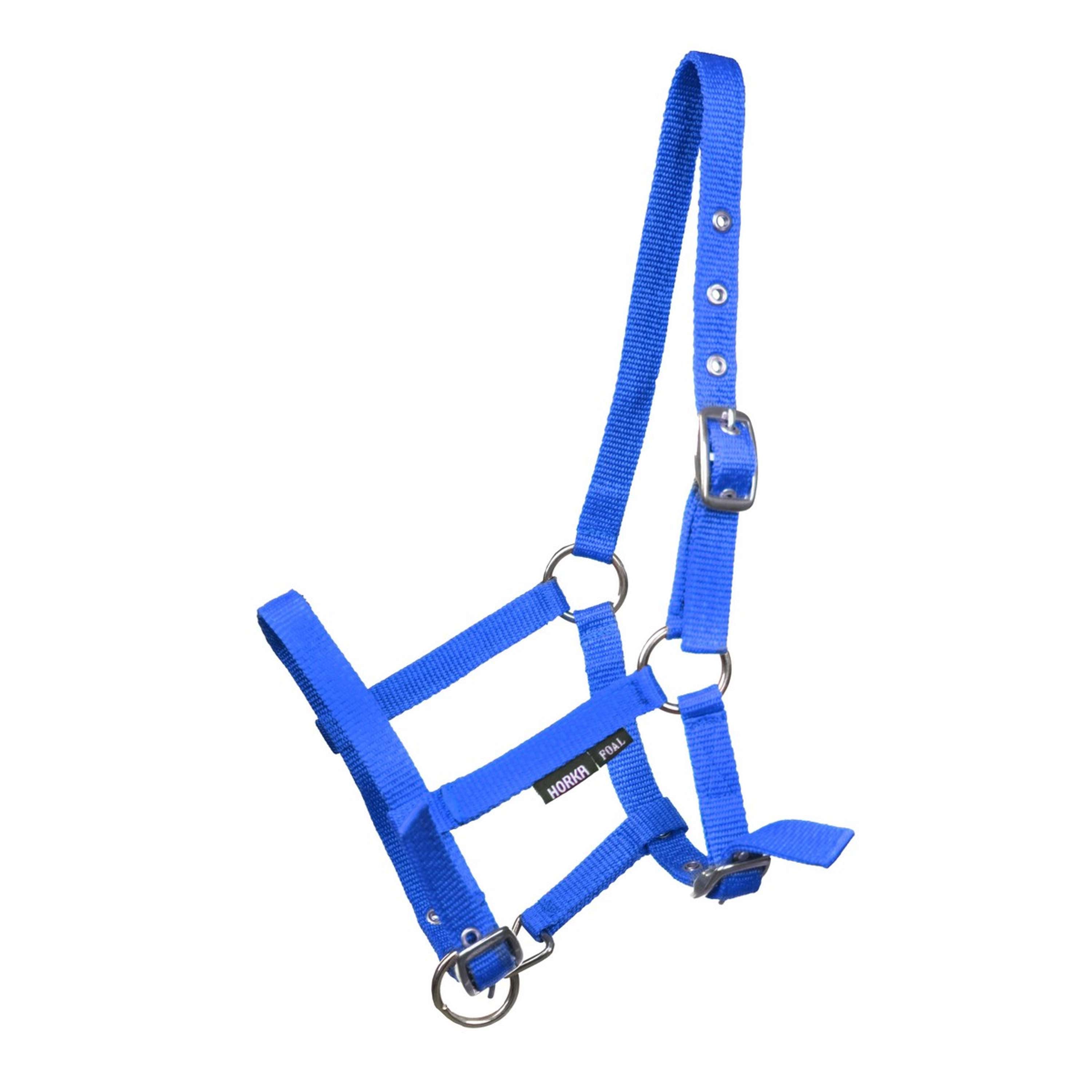 HORKA Halter Foal Cobalt