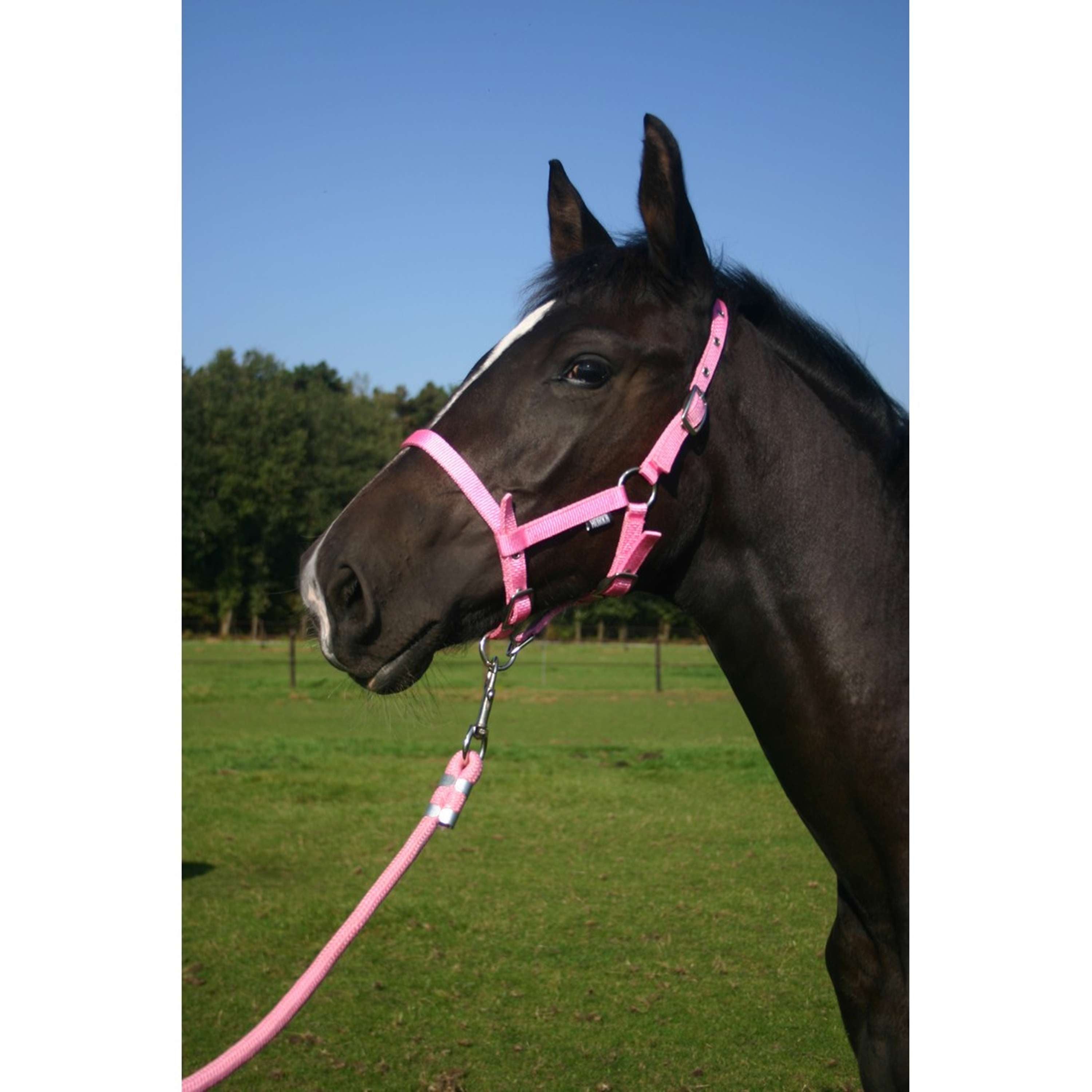 HORKA Halter Foal Ibiza