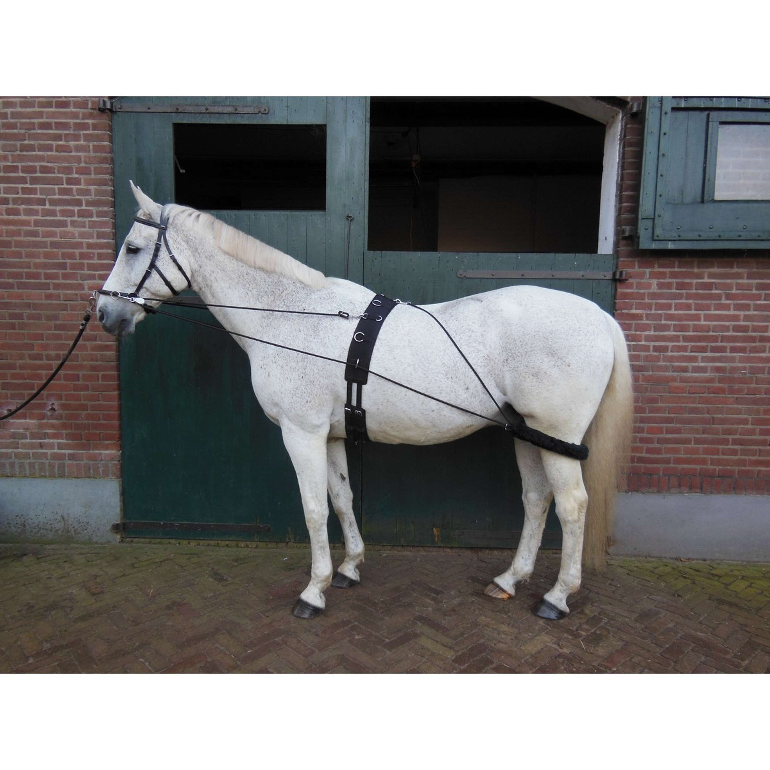 HORKA Pessoa Lunging Aid Black