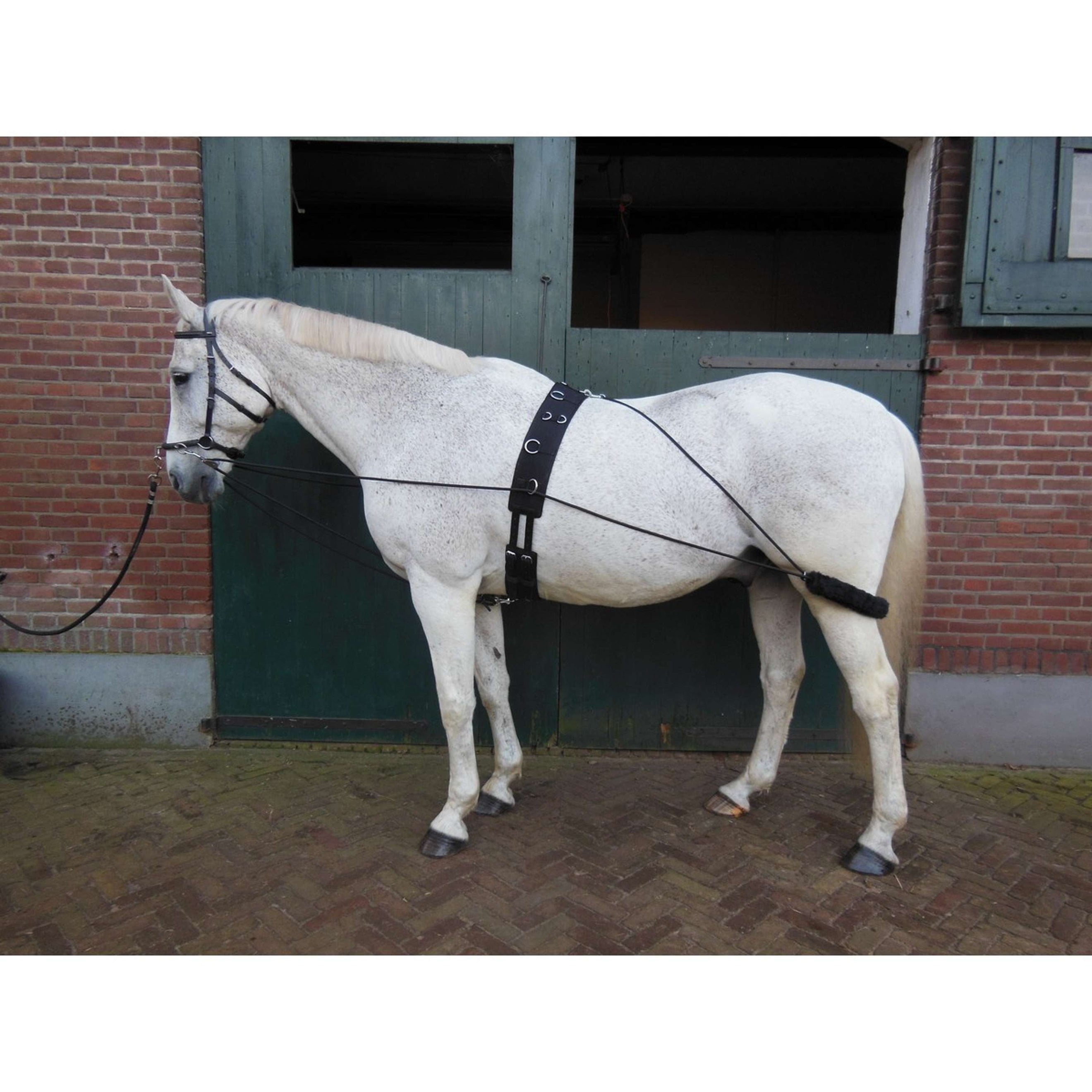 Horka Pessoa Lunging Aid Black