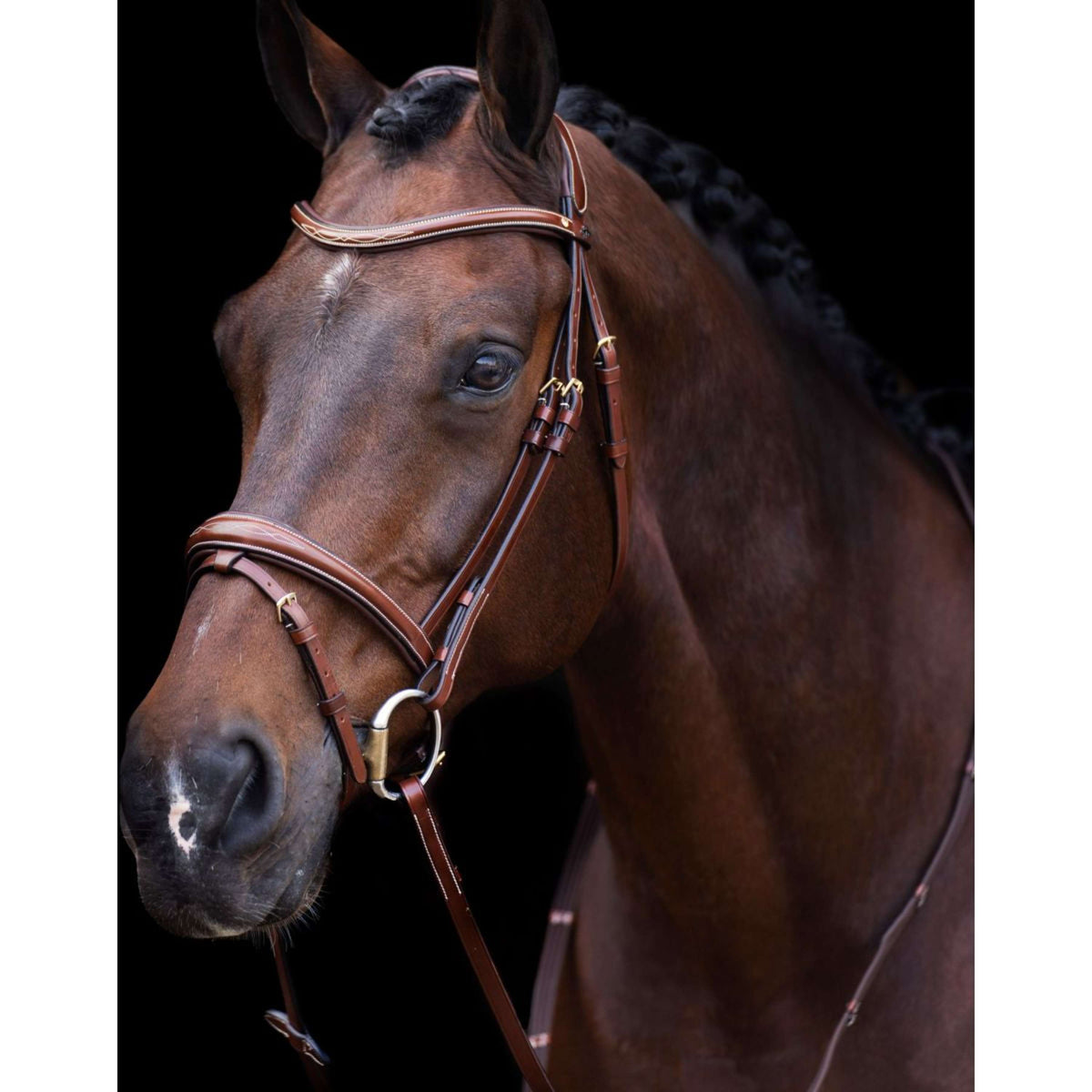 HV Polo Bridle Legacy Brown