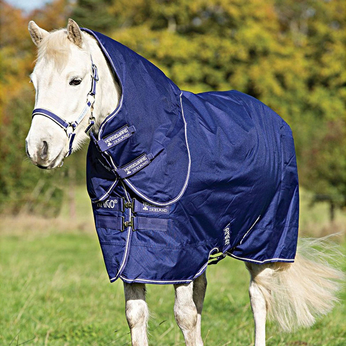 Amigo by Horseware Turnout Medium Hero 900 Plus 200g Atlantic Blue/AB Ivory