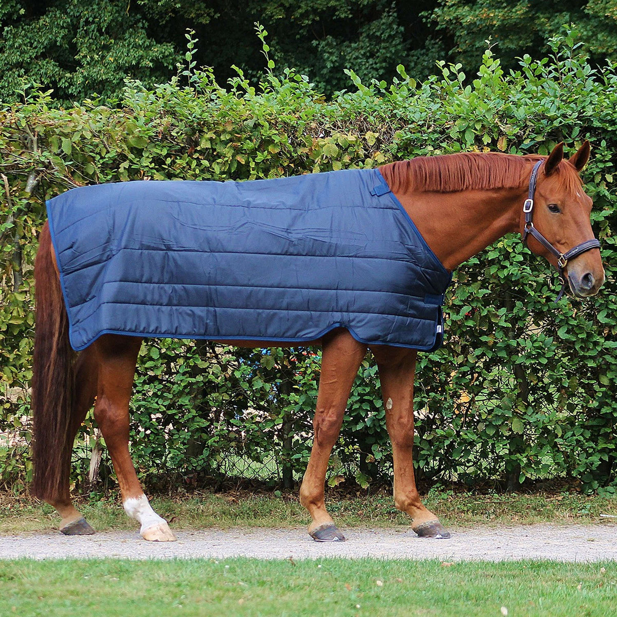 Horseware Liner 300g Navy