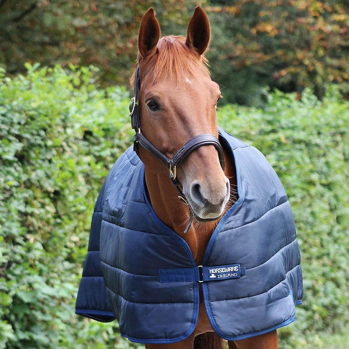 Horseware Liner 200g Navy