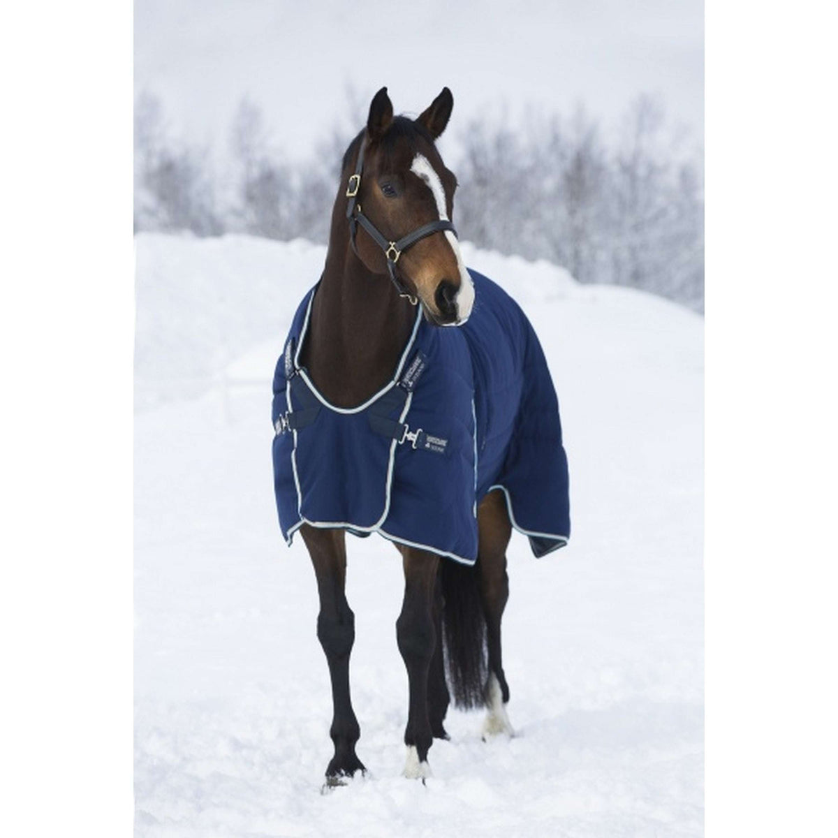 Rambo Optimo Stable Rug Navy Beige