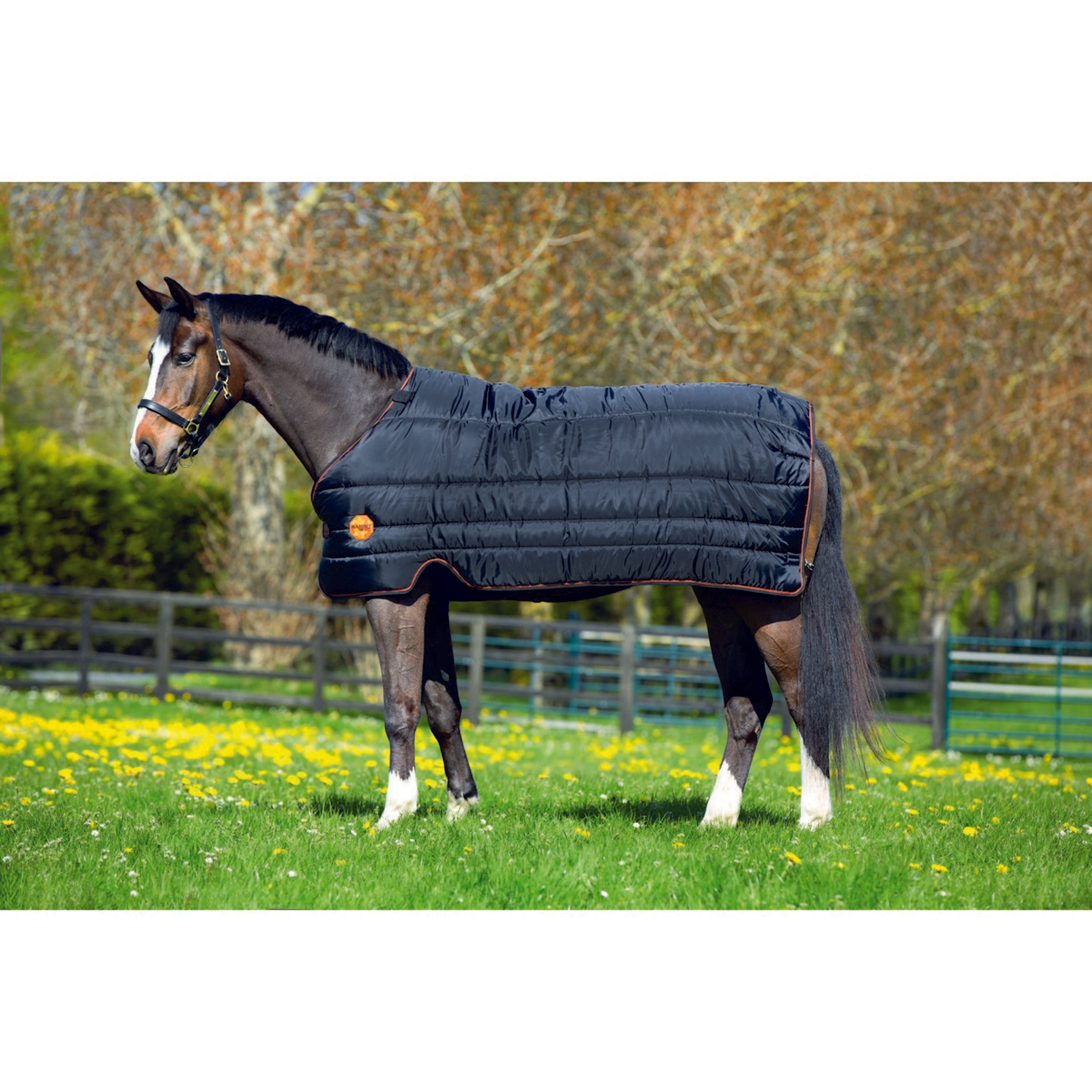 Rambo by Horseware Stable Liner Ionic 100gr Black/Black & Orange Stripe