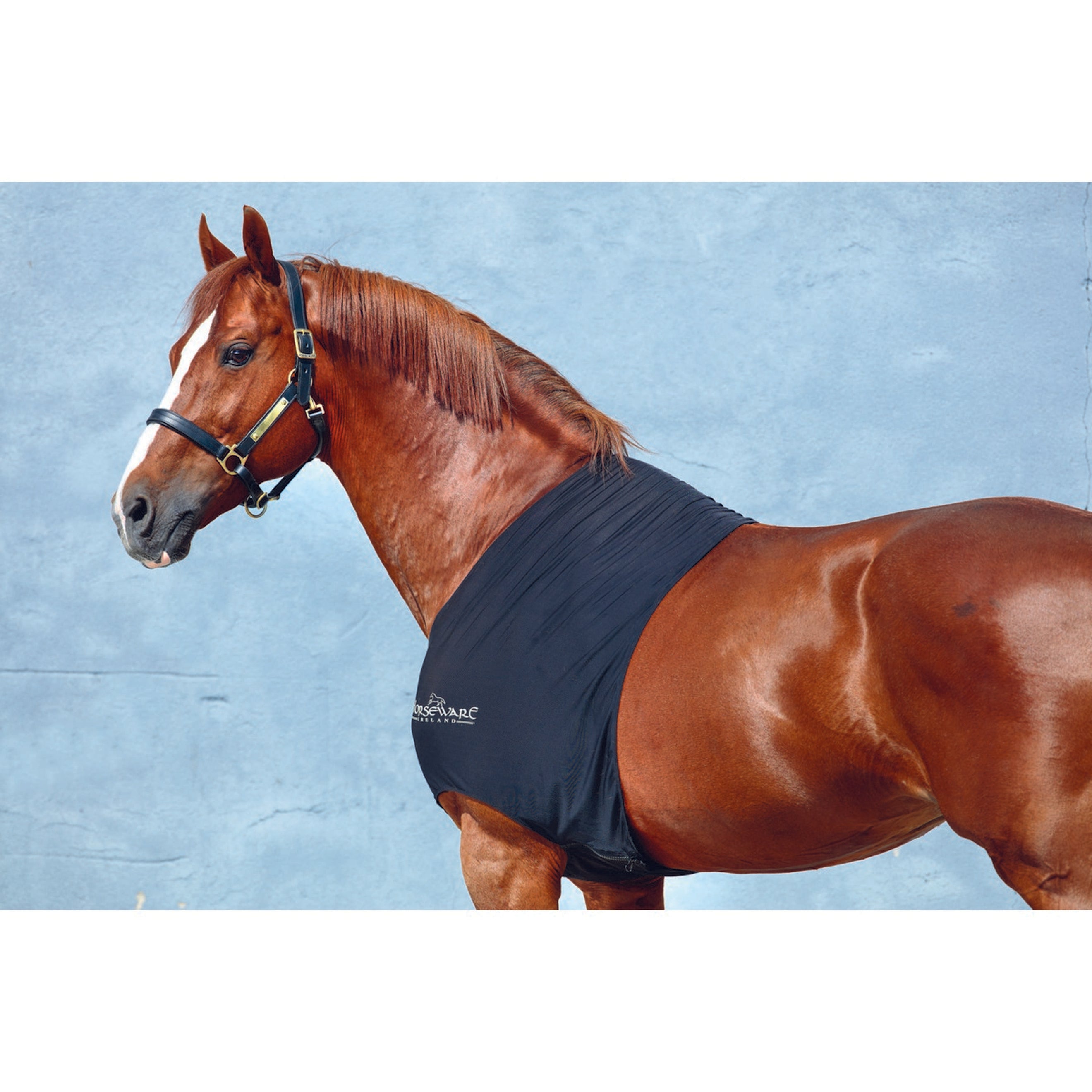 Rambo by Horseware Slinky Shoulder Black