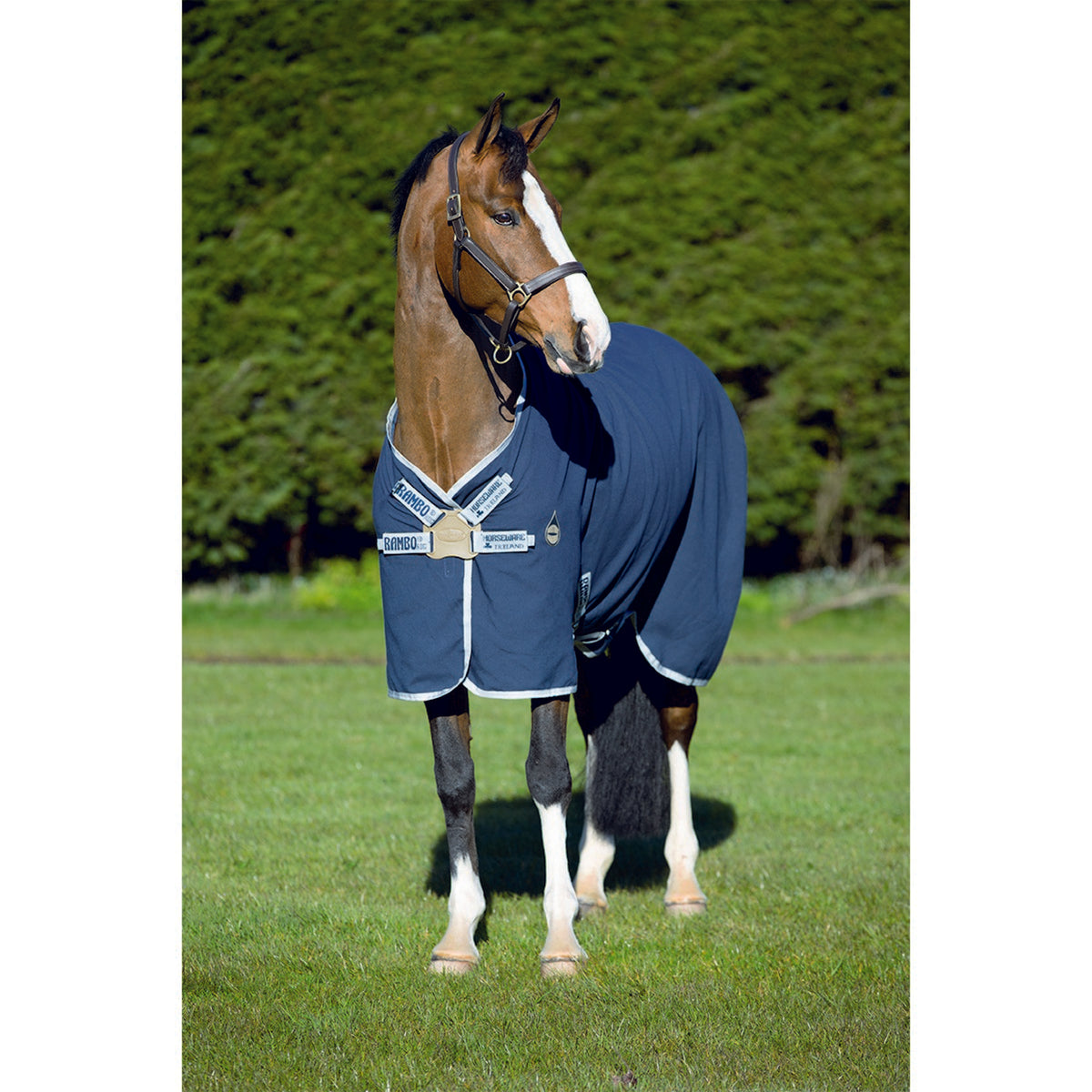 Rambo Helix Stable Rug Disclosing Navy/Silver