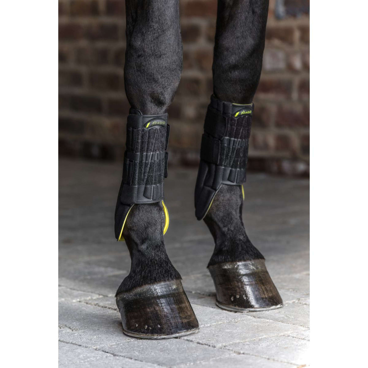 Horseware Protective Leg Boot Black/Yellow