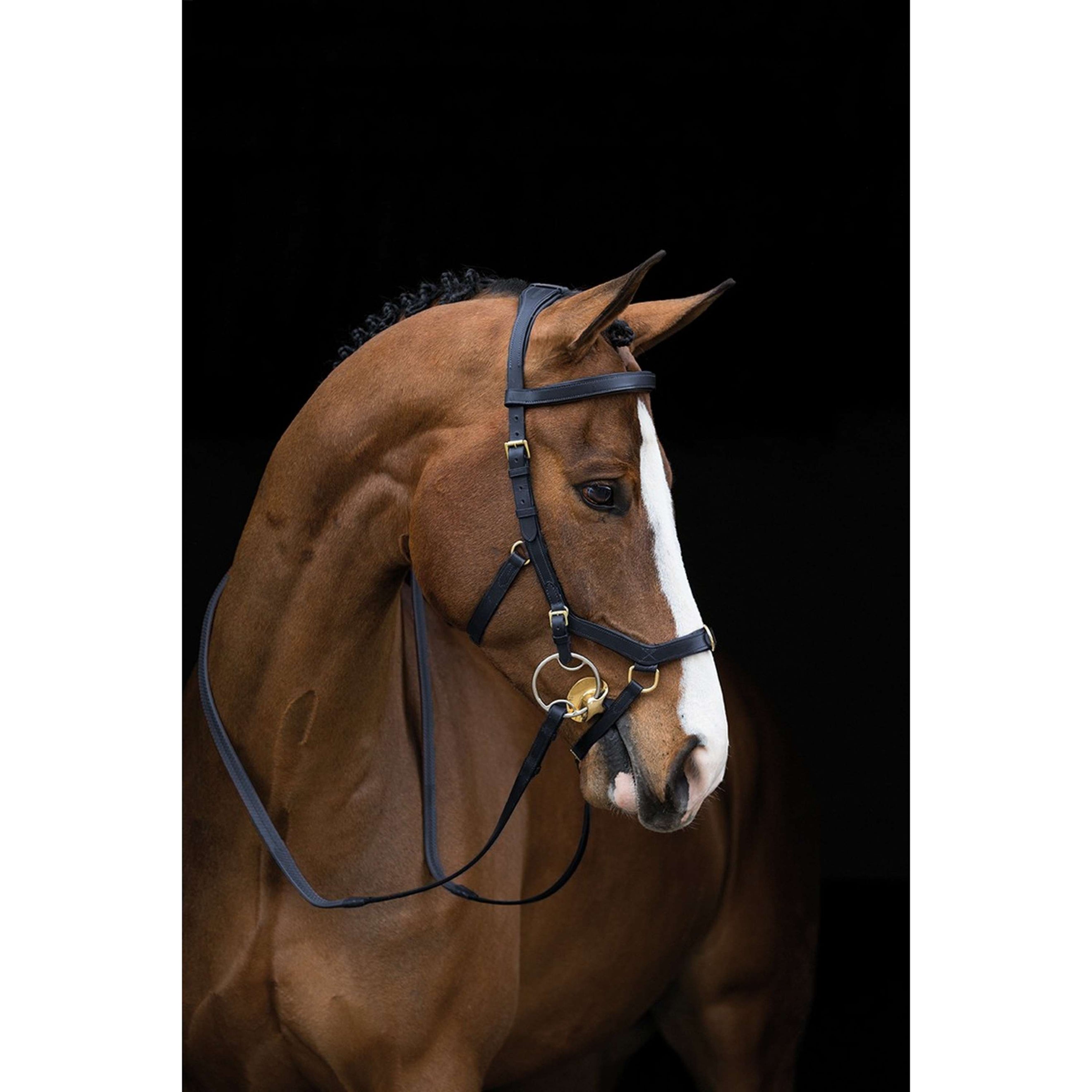 Rambo Micklem Multi Bridle Black