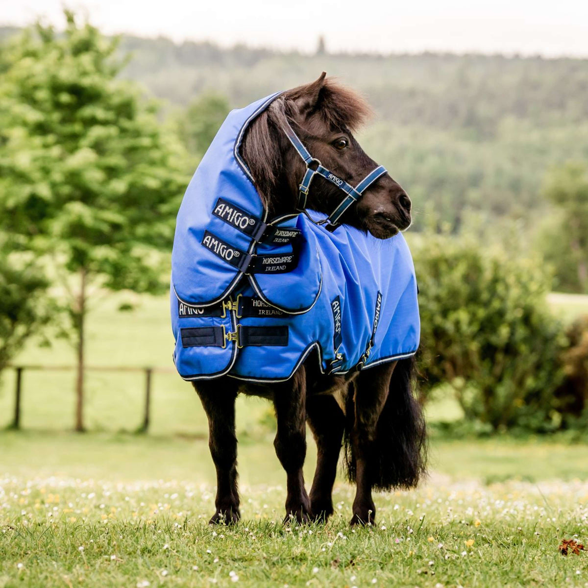 Amigo Turnout Lite Hero 6 Petite Plus Blue/Navy