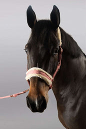 Harcour Head Collar Set Holly Old Pink