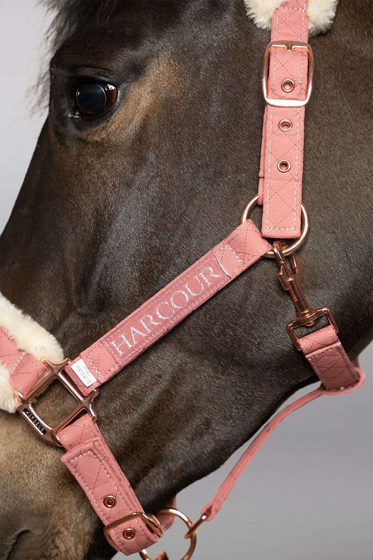 Harcour Head Collar Set Holly Old Pink