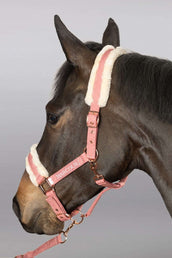 Harcour Head Collar Set Holly Old Pink