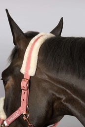 Harcour Head Collar Set Holly Old Pink