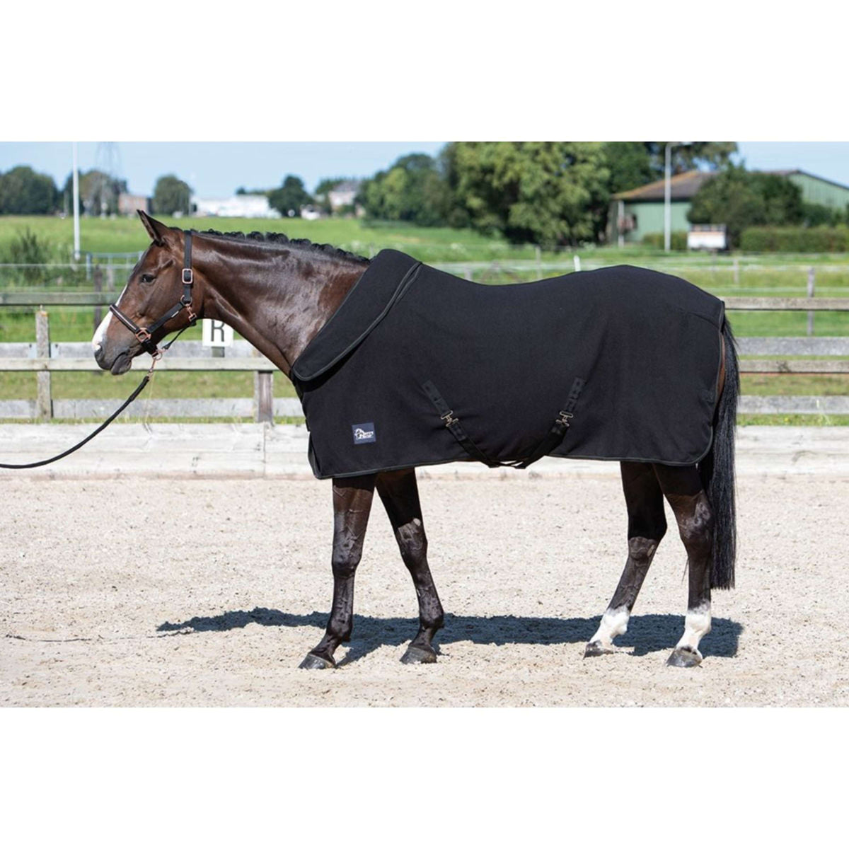 Harry's Horse Fleece Rug with Rollable Neck Black