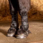 Harry's Horse Tendon Boots Pinlock Black