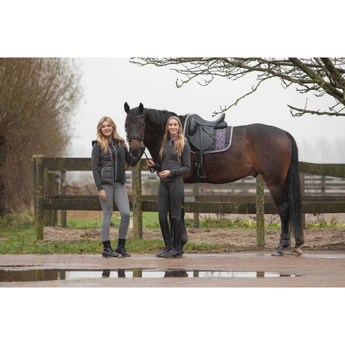 Harry's Horse Riding Legging Equitights Just Ride Urban Full Grip Grey