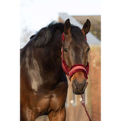 Harry's Horse Head Collar Set Denici Cavalli Scabiosa Bordeaux