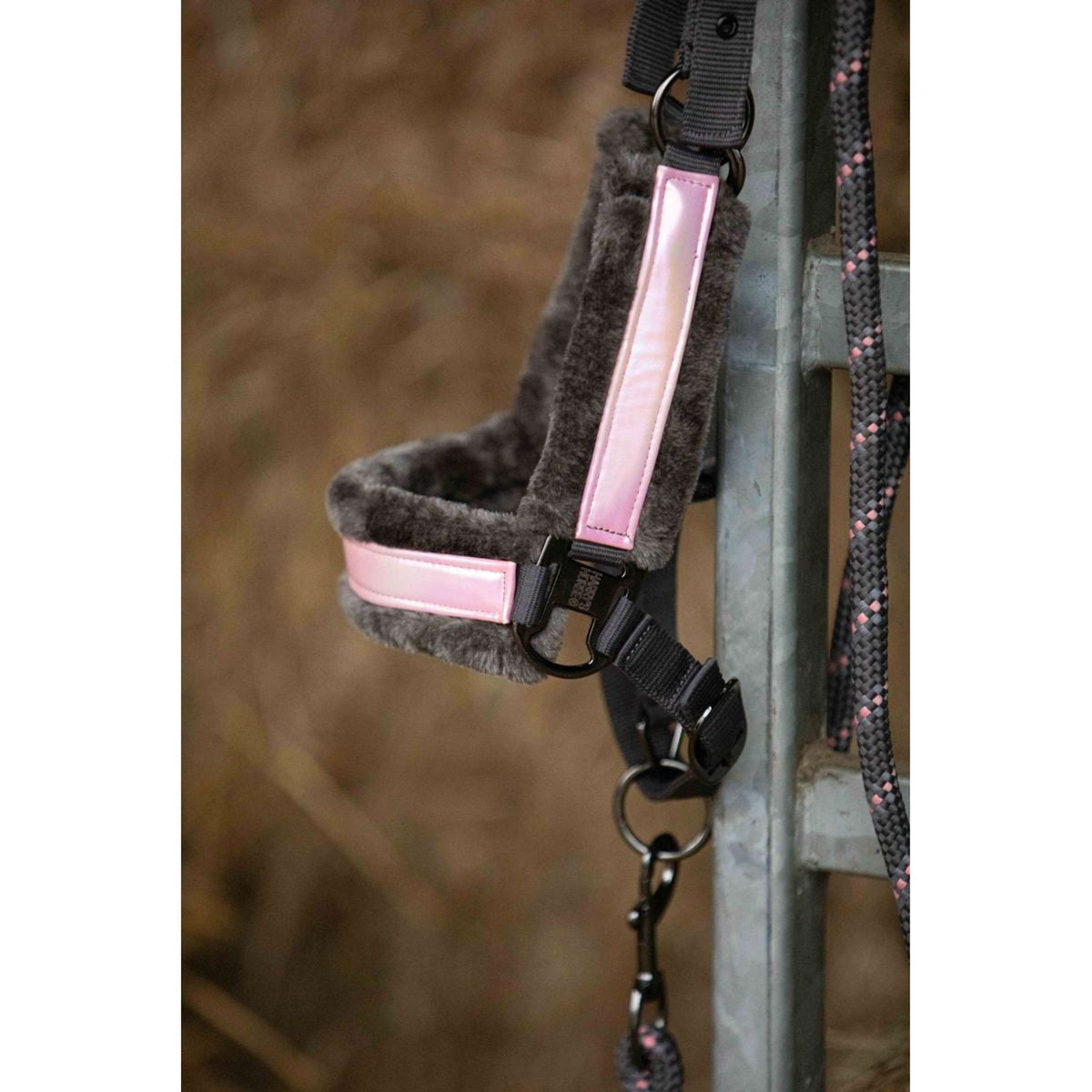 Harry's Horse Head Collar Set Just Ride Urban Soft AntraciteGrey