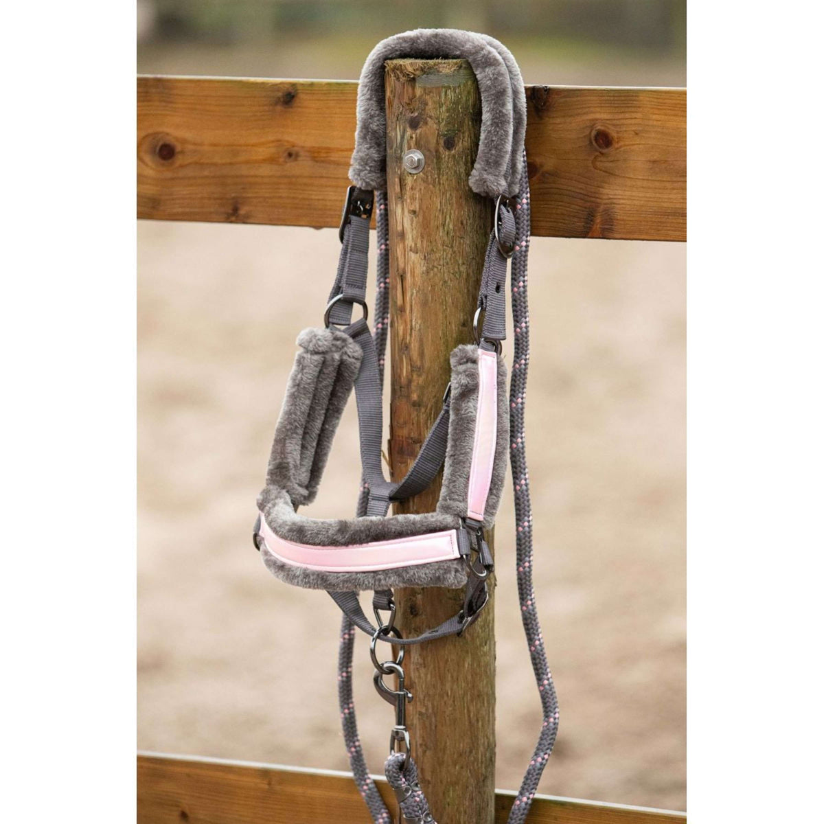 Harry's Horse Head Collar Set Just Ride Urban Soft AntraciteGrey