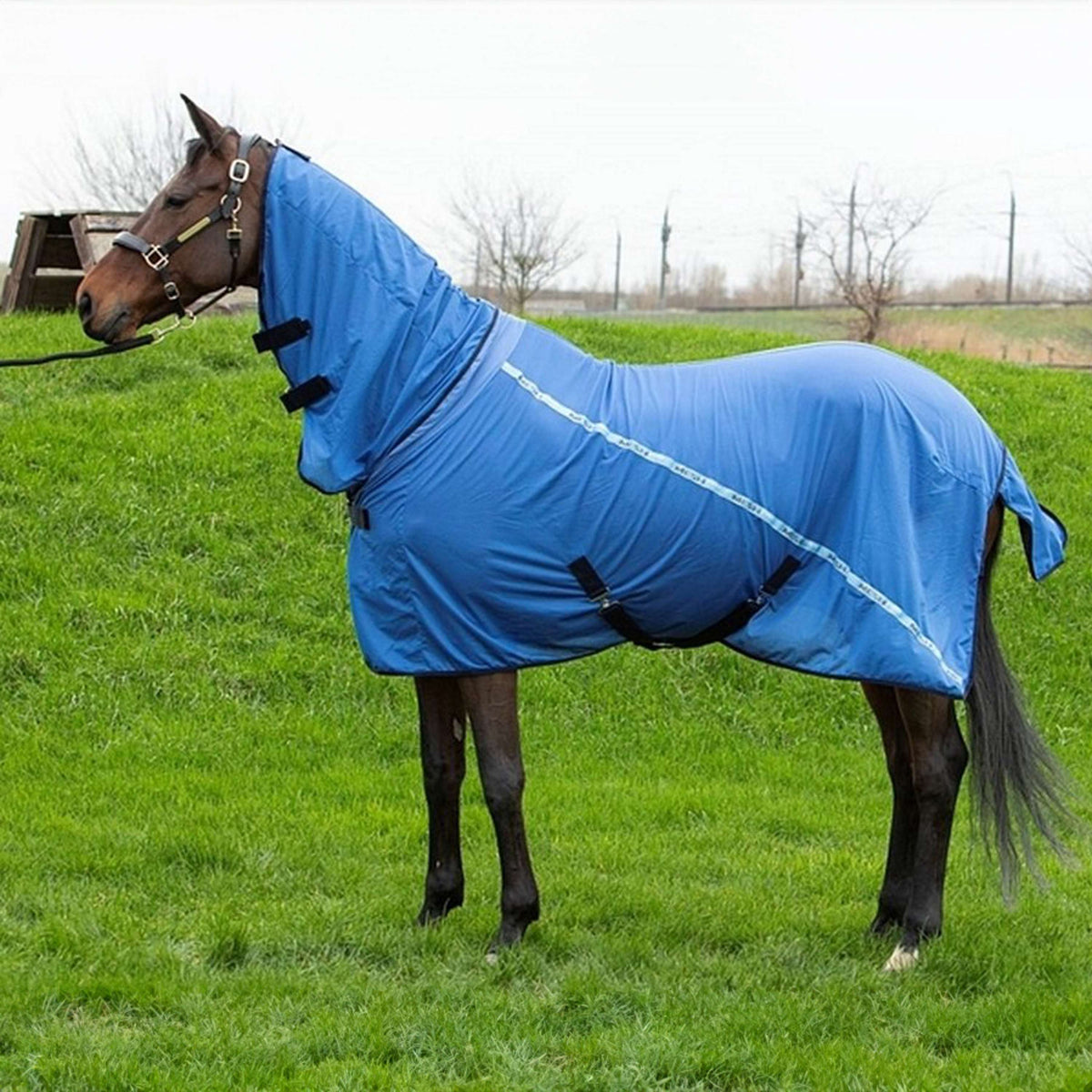 Harry's Horse Fly Rug Mesh Pro Neck Blue