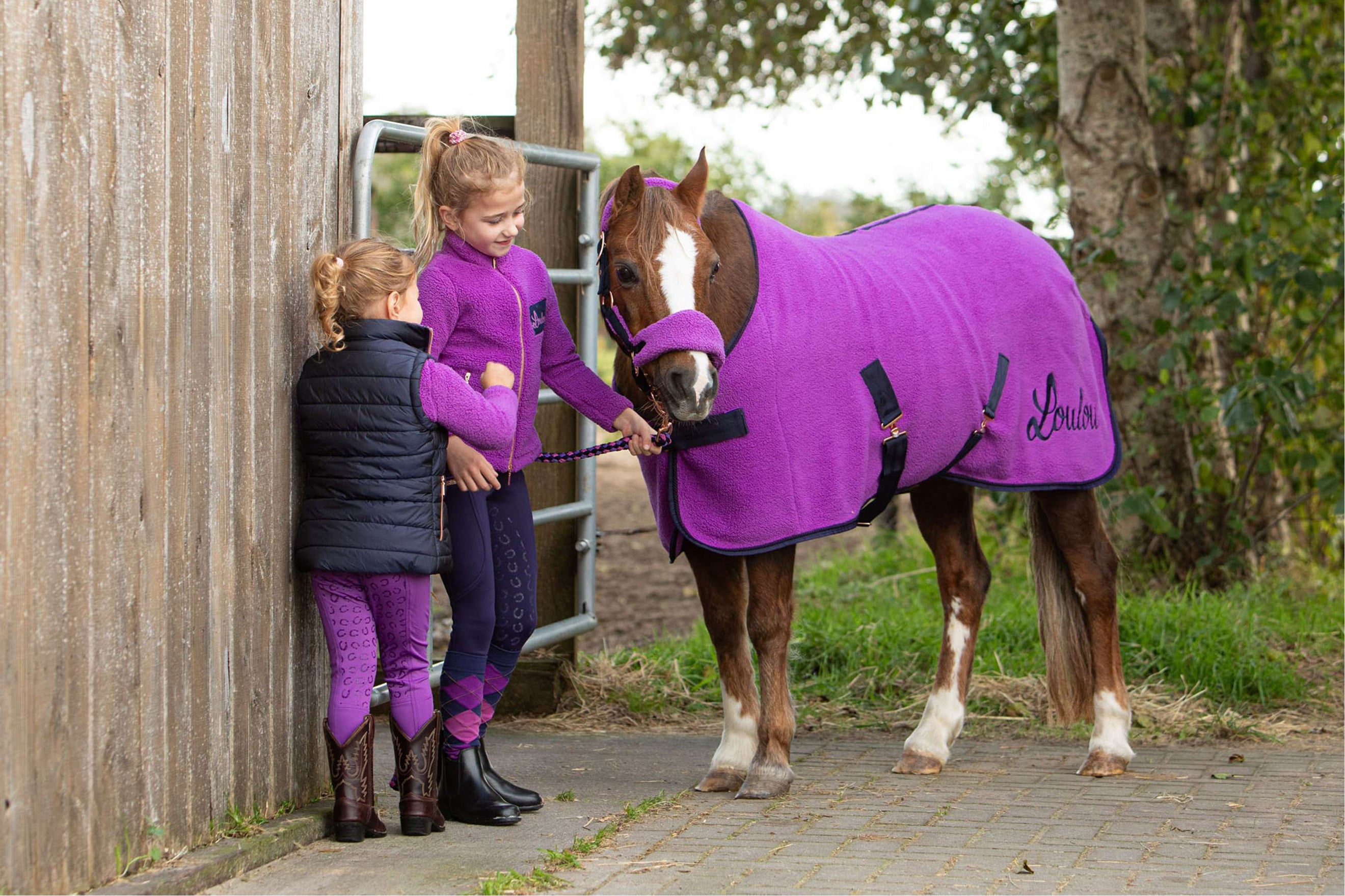 Harry's Horse Winter 25/26 Bright Violet