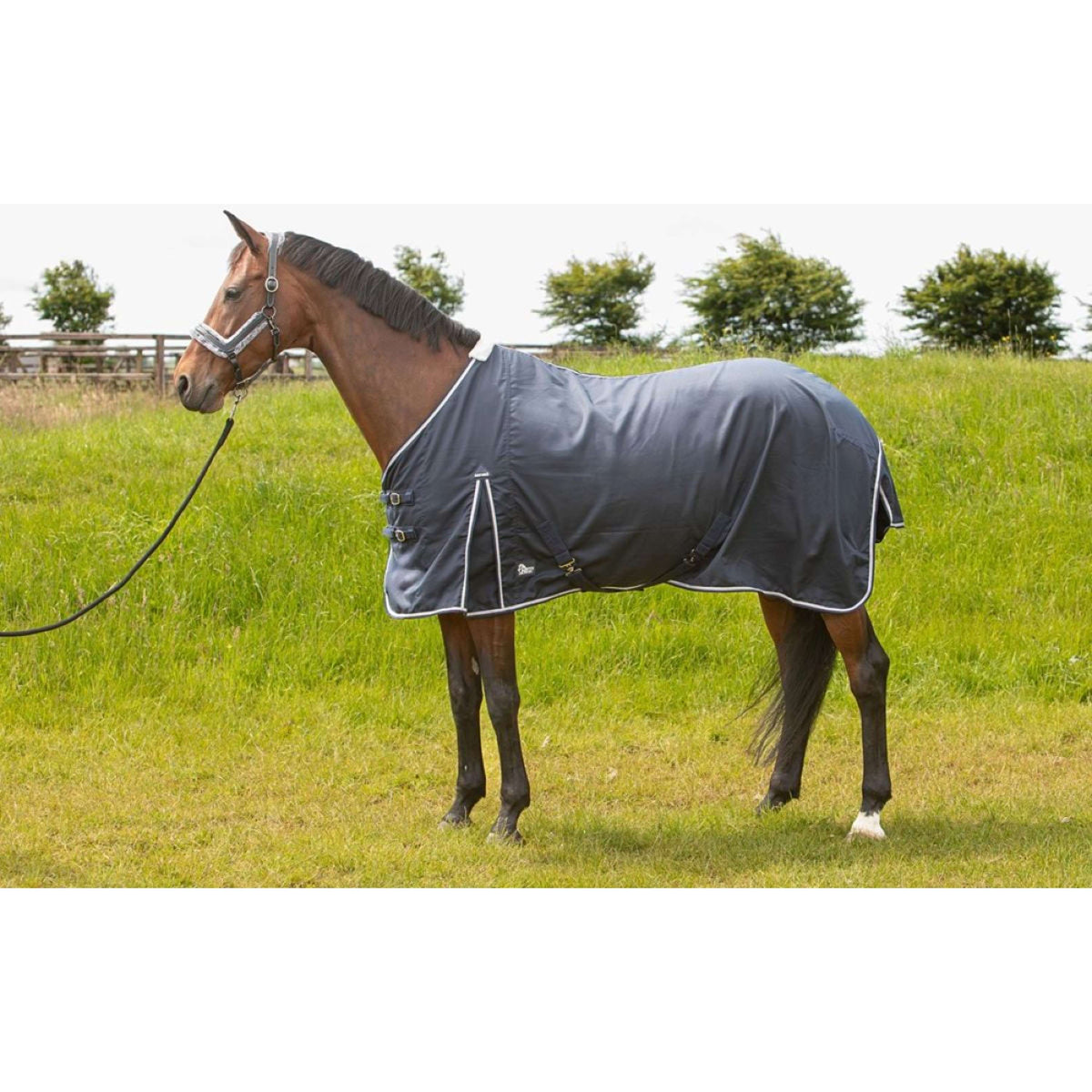 Harry's Horse Summer Rug Premium Navy