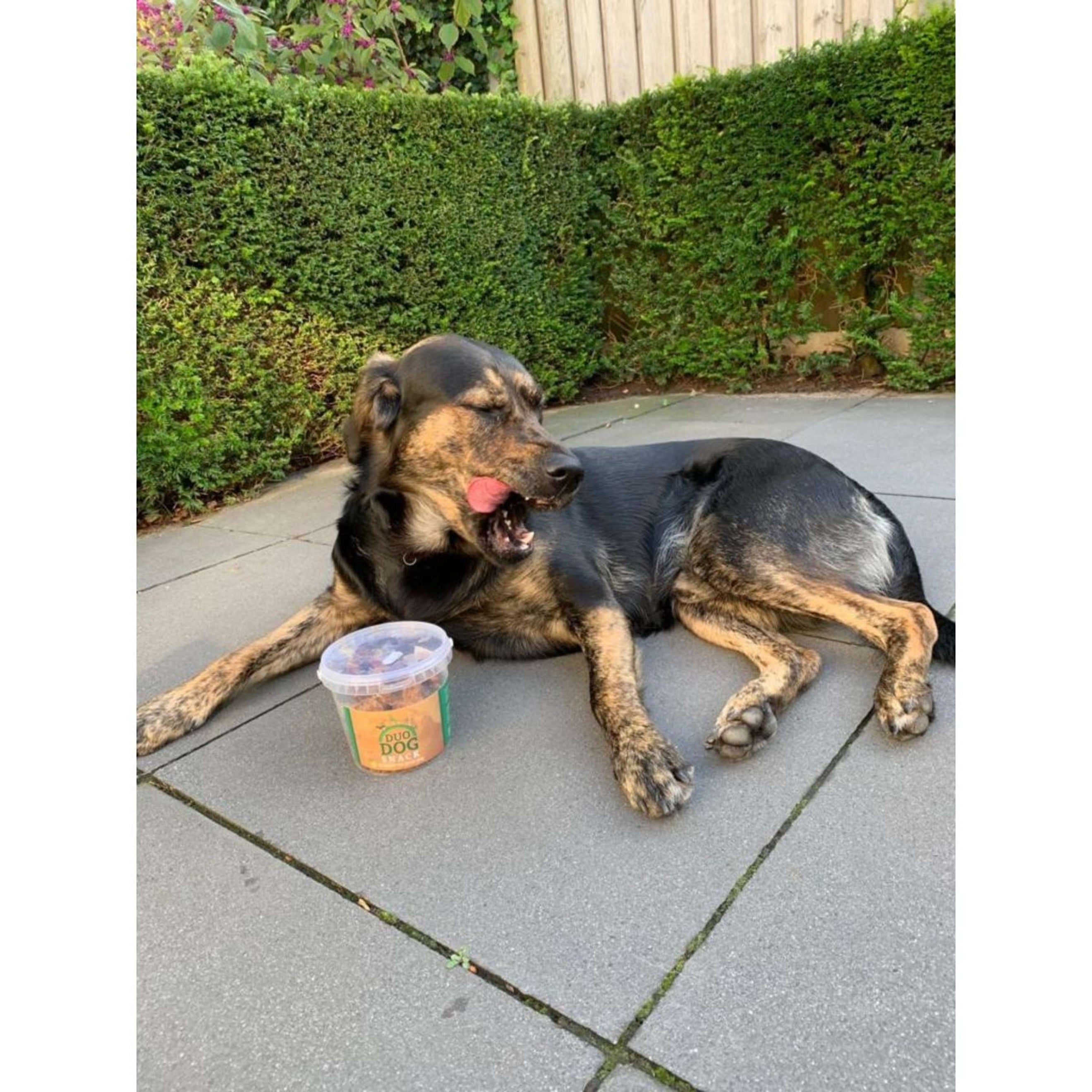 Duo Protection Duo Dog Snack