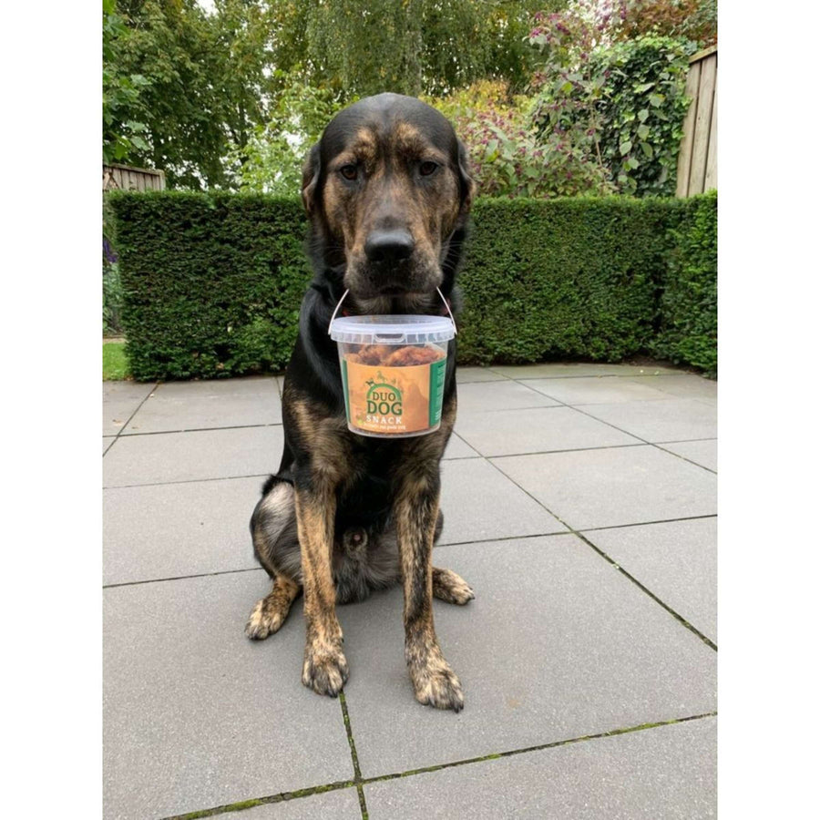 Duo Protection Duo Dog Snack